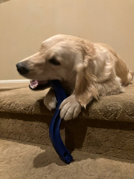 Flexi Fetch Dog Toys: Proudly Made in the USA