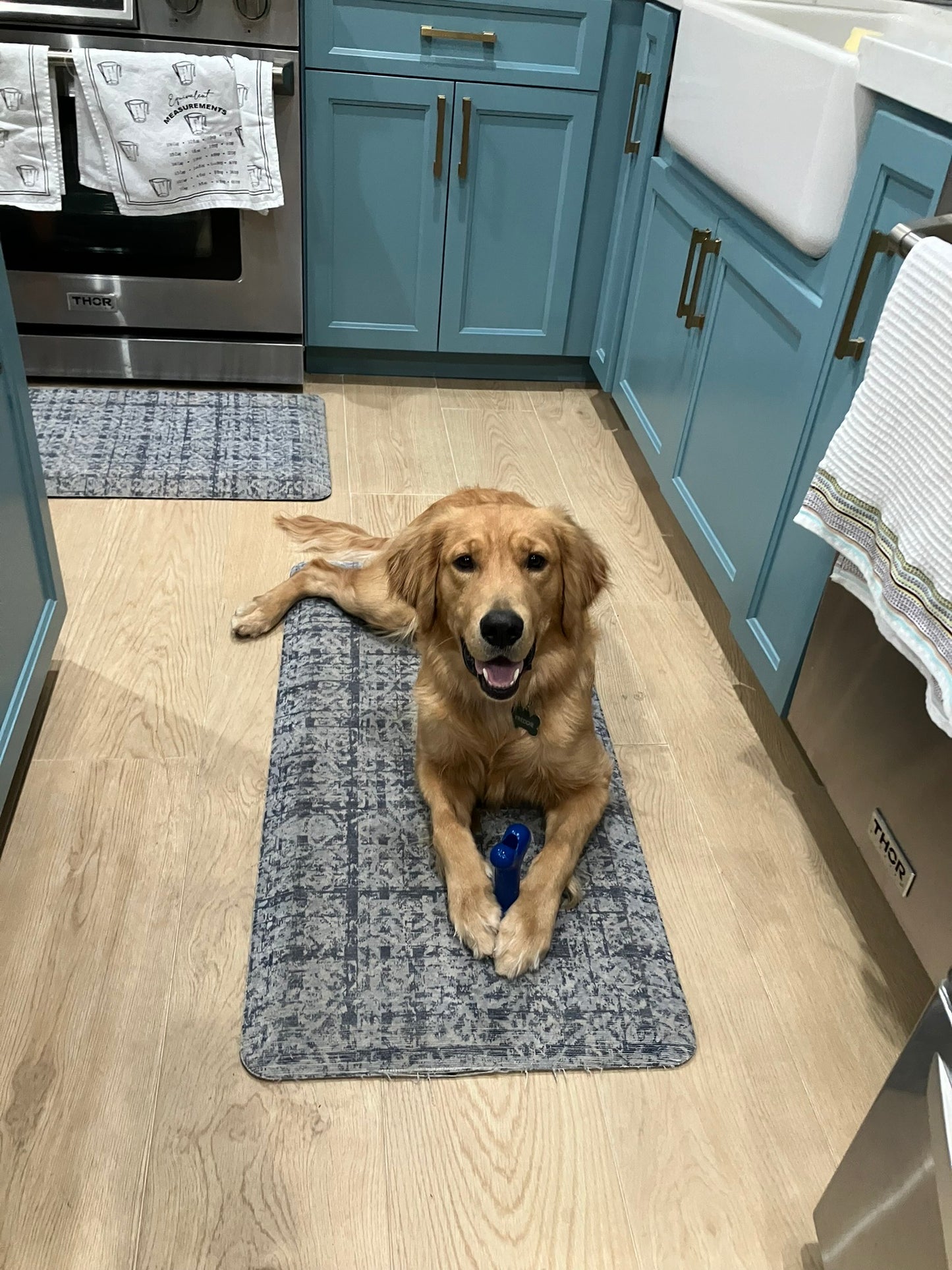 Original Bone Toy – The JD