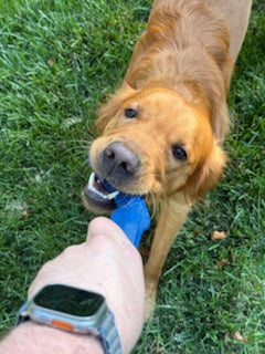 “S” Stick Toy – The Big River